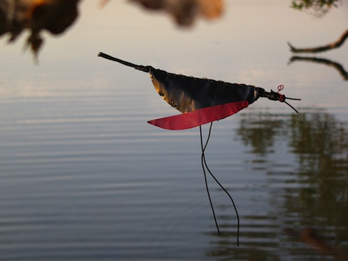 Red and Black Bird